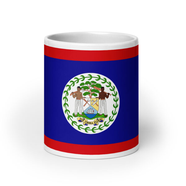 Belize Flag White glossy mug - Image 9